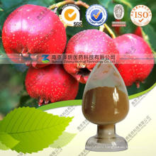 High Quality Natural Organic Hawthorn Leaf Extract